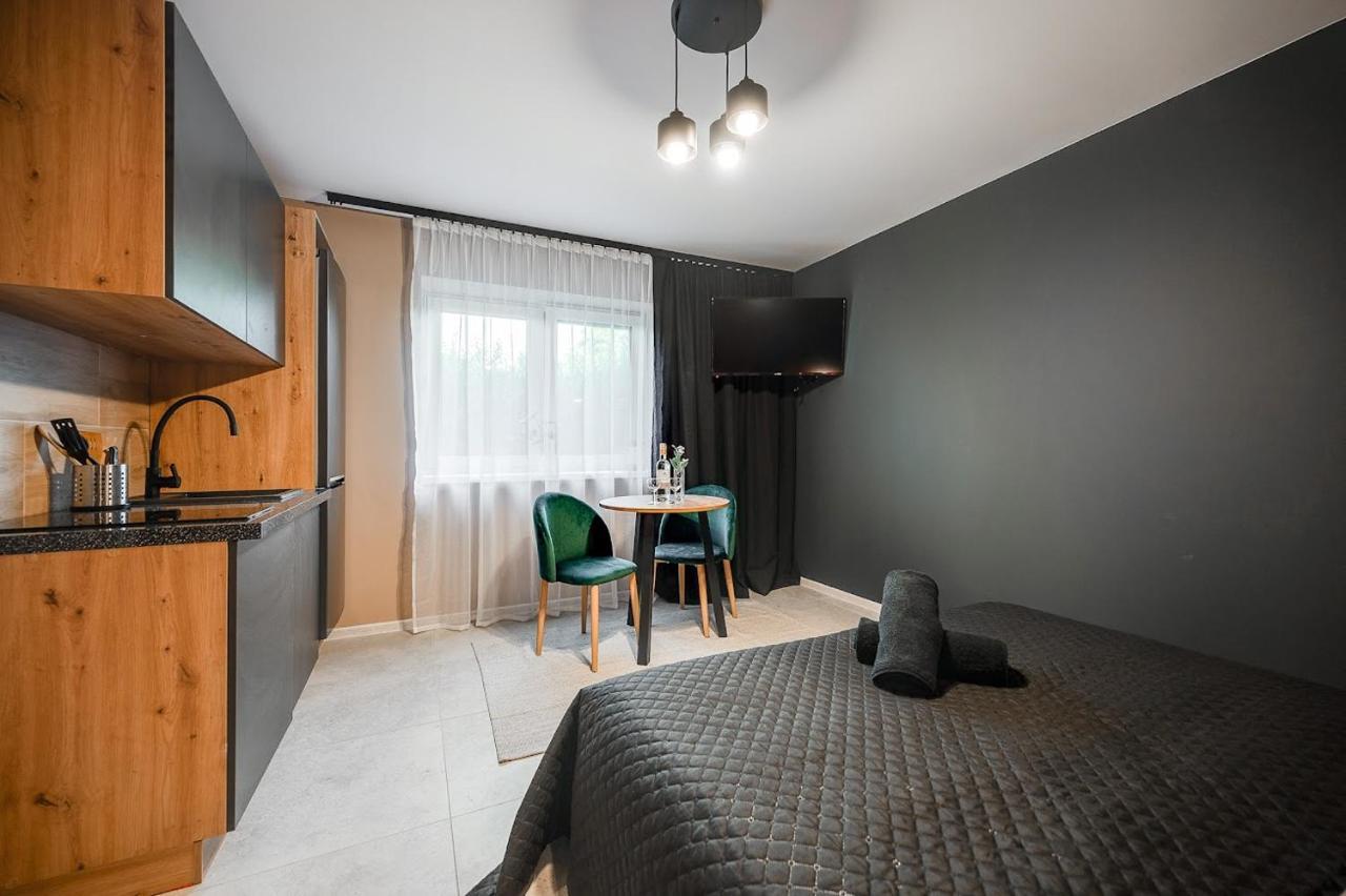 Loft House Apartment Studio Z Ogrodkiem 1 리브니크 외부 사진